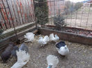 DSCN0051