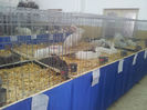 20130223_123409