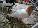 DSC02485