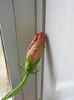 DSCN2681