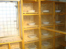 DSC01879