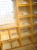 DSC01881