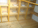 DSC01883