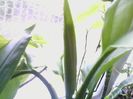Picture 002