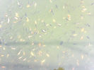 30062012546
