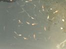 P200611_17.140001