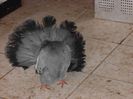 PICT0006