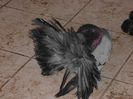 PICT0007