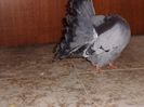 PICT0009