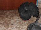 PICT0013