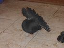 PICT0015