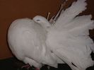 PICT0139