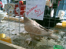 DSCF0025