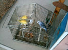 DSCF0027