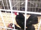 DSCF1056