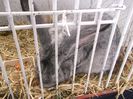 DSCF1069