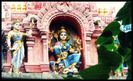 Amazing-India