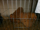 P2240665