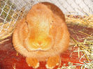 DSCF2463