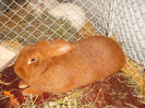 DSCF2464