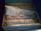 cache_00000132677d1ed23ec