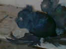 Photo0048