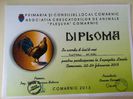 Diploma Participare