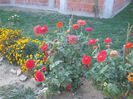 DSCF6273