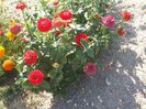 DSCF6284