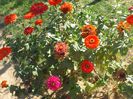 DSCF6294