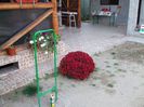 DSCF6462
