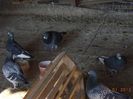 DSC01641