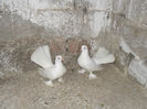 SAM_3645
