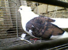 Ady91-0073