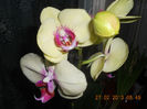 DSCN2689