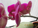 DSCN2690