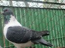 IMG_0411 m 2010