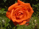 DSC01027