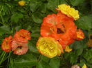 DSC01075