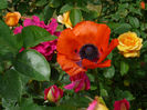 P1110767