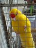 DSC02446