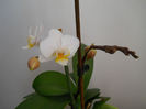DSCN3327