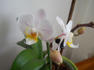 DSCN3328