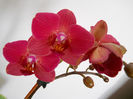 DSCN3340