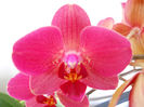DSCN3341