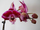 DSCN3346
