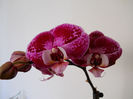 DSCN3350