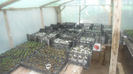 repicate  28 02 2013