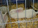 DSC05889
