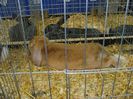 DSC05891